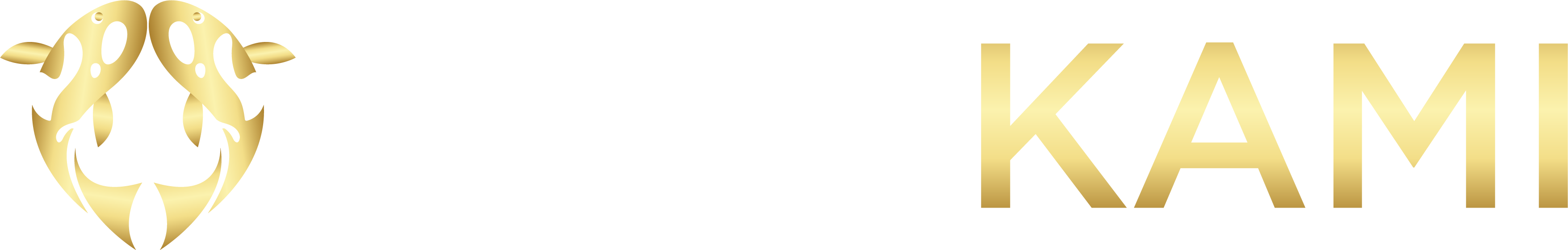 logo PlayKami